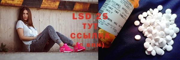 прущий лед Лагань
